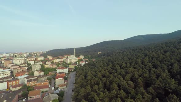 City and Forest