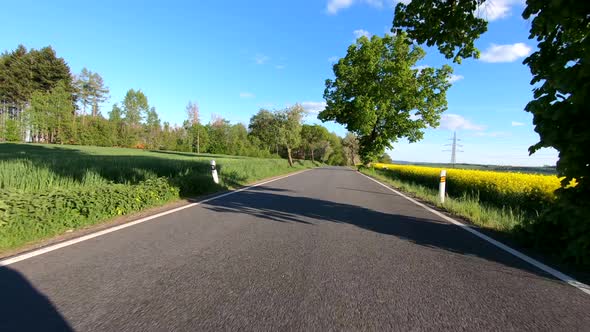 car drive in green spring countryside