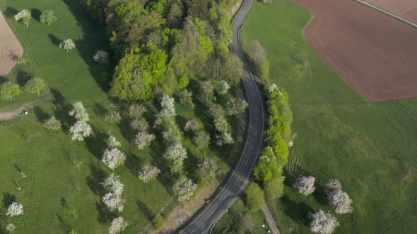 Aerial view of road with traffic and meadow with fruit trees, Germany