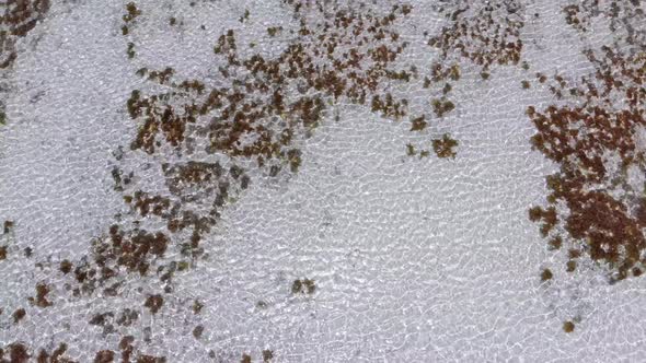 Ocean Coral Reef and Beach Shallow at Low Tide Zanzibar Matemwe Top Aerial