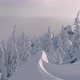 Winter Fir Tree Forest in Mountains - VideoHive Item for Sale
