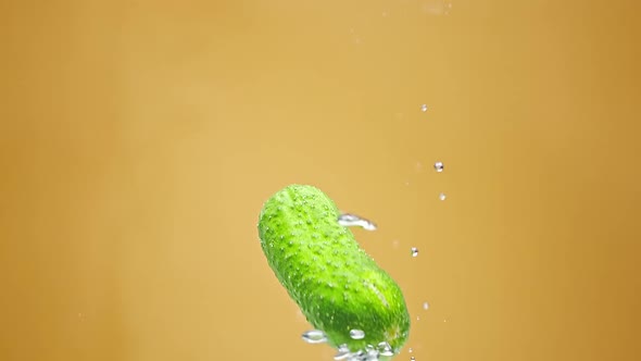 Green Cucumber Float in Water