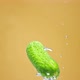Green Cucumber Float in Water - VideoHive Item for Sale