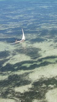 Boat Boats in the Ocean Near the Coast of Zanzibar Tanzania Slow Motion Vertical Video