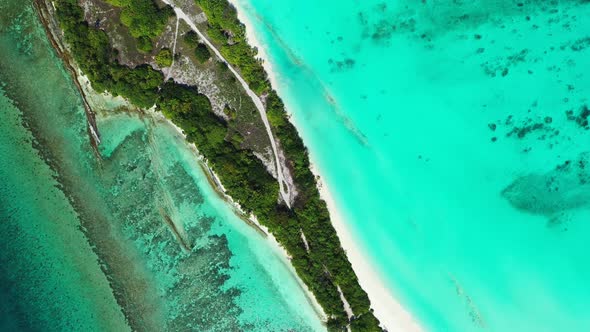 Tropical birds eye abstract view of a sandy white paradise beach and aqua blue ocean background in v