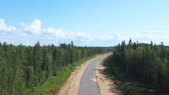 Asphalt Road Through Pine Forest