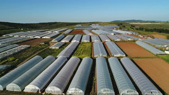 Industry Greenhouse