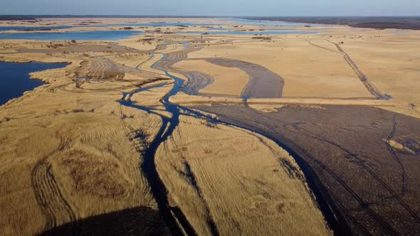 Aerial view of the lake overgrown with brown reeds, lake Pape nature park, Rucava, Latvia, sunny spr