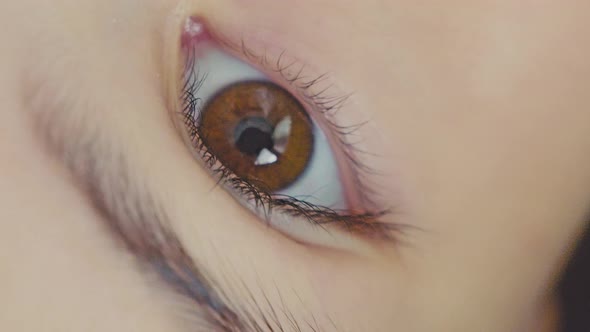 Eye (4K)