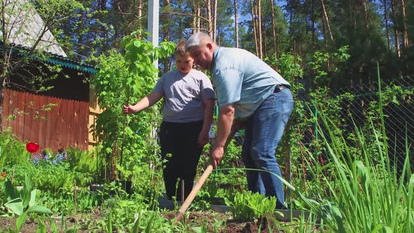 The Boy is Holding a Green Seedling the Father is Digging a Hole with a Shovel