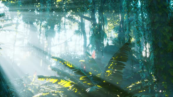 Green Tropical Forest with Ray of Light