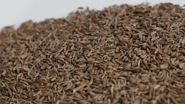 Close-up of caraway seed 4K slow pan video