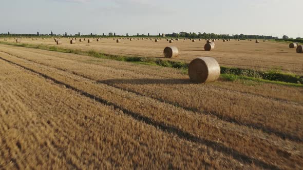 Hay bales in Friuli Venezia Giulia, Italy