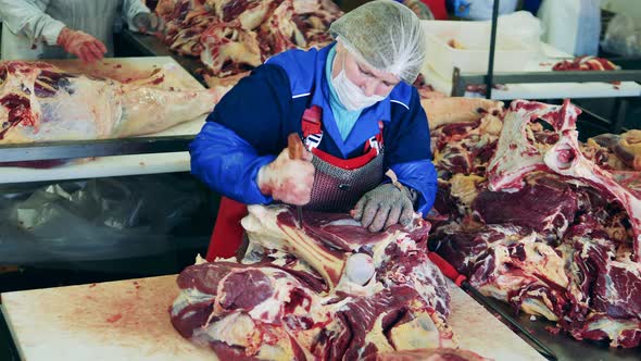 Large Piece of Meat Is Getting Butchered By a Factory Worker