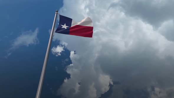 Texas State Flag Waving 2K