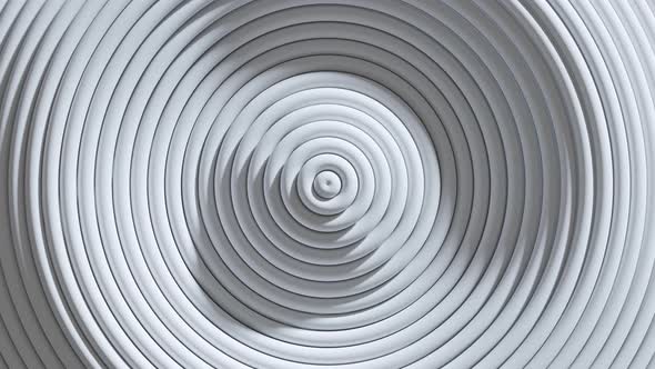 White Clean Circle Wave