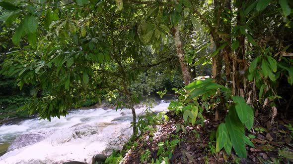 Slow move toward water stream at Sedim forest