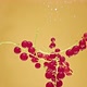 Redcurrant Twigs Falls Into Water - VideoHive Item for Sale