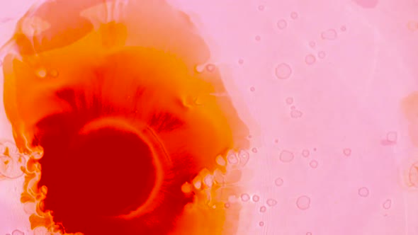Slow motion abstract of an inky, red droplet falling into pink liquid