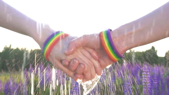 Two Girls Holding Hands at Sunset Sun LGBT Symbol Rain