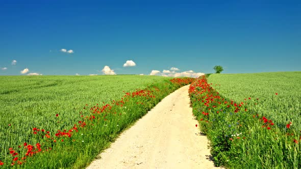 Gravel country road and green field in summer, aerial view