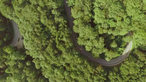 Hidden road - aerial view at a curvy street inside a forest, top shot view locked; filmed by a drone