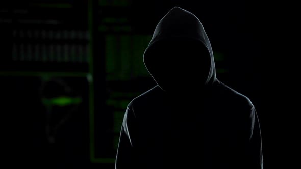 Unknown Hooded Male Hacker Looking Into Camera, Global Cybercrime Problem