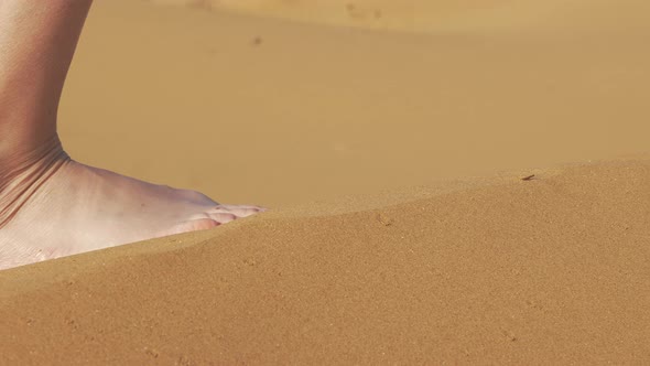 Female Legs Go on Sand in Desert