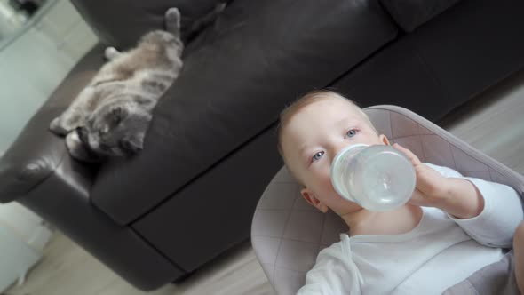 Baby and Cat Living Together Happily One Year Old Kid with Gray Cat at Home