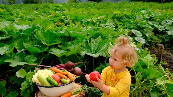 Child in the Vegetable Garden