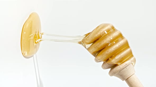 Honey Dripping to a Honey Dipper