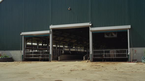 Cowshed Building Dairy Farm on Sunny Day