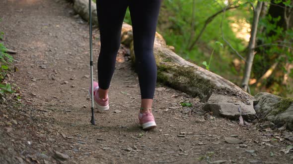 Sporty Young Woman is Traveling Alone in Forest Sporty Lifestyle of Modern Youth