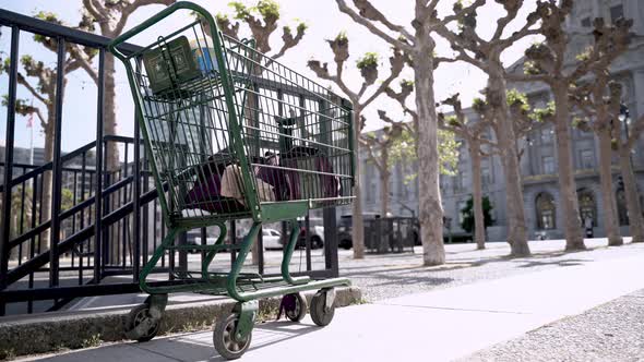 Shopping cart abandoned in the park