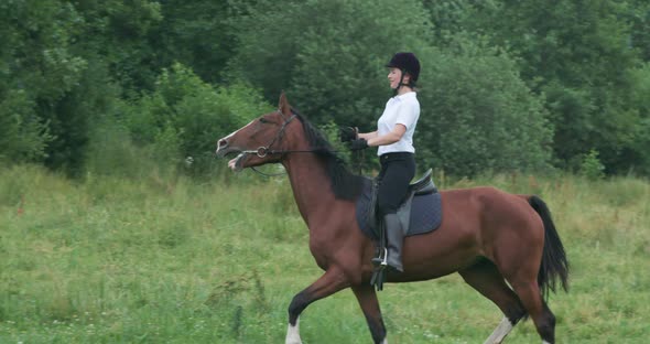 Woman Rider on Horseback Riding in a Clearing Near the Forest, Horse Walking Along a Forest Path