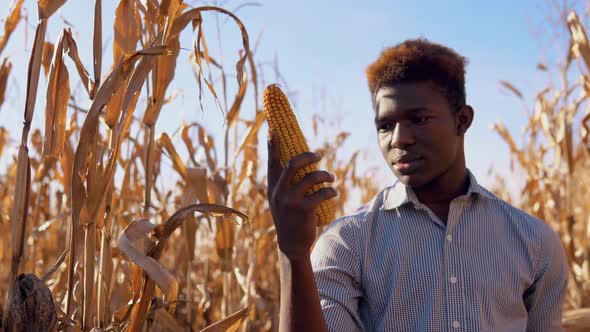 Young African American Man Holding a Head of Corn in His Hand