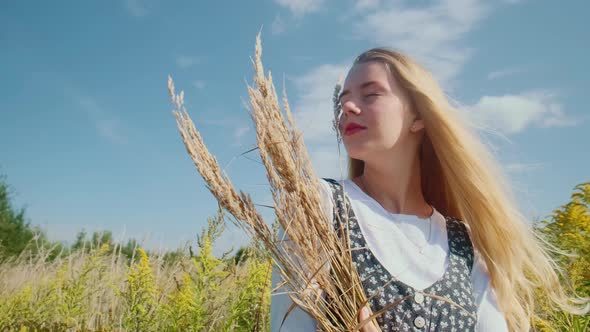 A Young Girl in a Beautiful Dress Walks Through a Field with Spikelets and Wheat