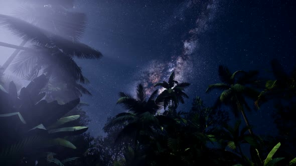 Astro of Milky Way Galaxy Over Tropical Rainforest