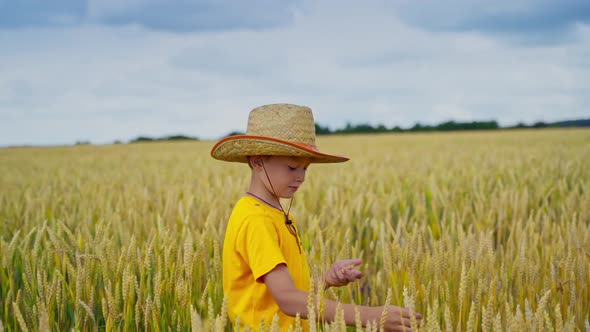 Cute child in farmland in summer