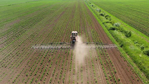 Tractor Spraying Pesticides on Vegetable Field with Sprayer