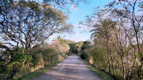 A Beautiful Scenic Dolly Shot in Reverse at the Costanera Sur Ecological Reserve in Puerto Madero, A