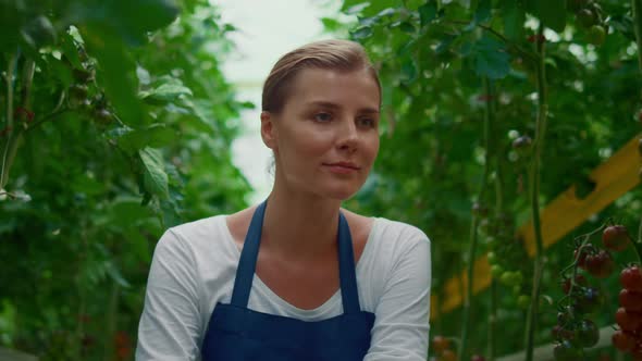 Beautiful Woman Farmer Inspect Tomato Plantation