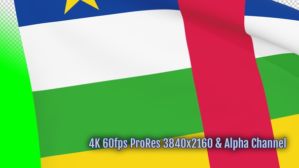 Central African Republic flag transition