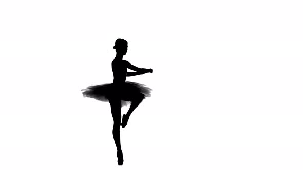 Ballerina Dancer in Tutu Showing Her Techniques, Silhouette