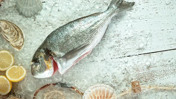 Super Slow Motion Shot of Falling Fresh Bream Fish Into Crushed Ice at 1000 Fps