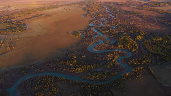 Kurai Steppe, Chuya River, Yellow Larches and Mountains. Altai Mountains, Russia