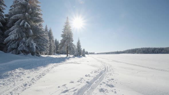 A Crosscountry Skiing Trail in a Snowcovered Landscape on a Sunny Day