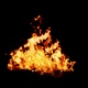The flames burn and float like a real fire to be gradually extinguished Isolated by Alpha channel - VideoHive Item for Sale