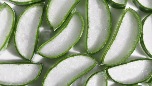 Closeup Aloe Vera Sliced Slice Rotation