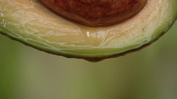 Fresh Avocado and Oil in Slow Motion alt